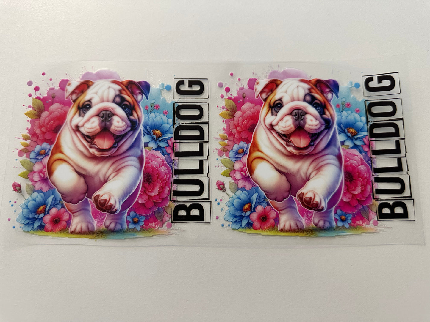Bulldog