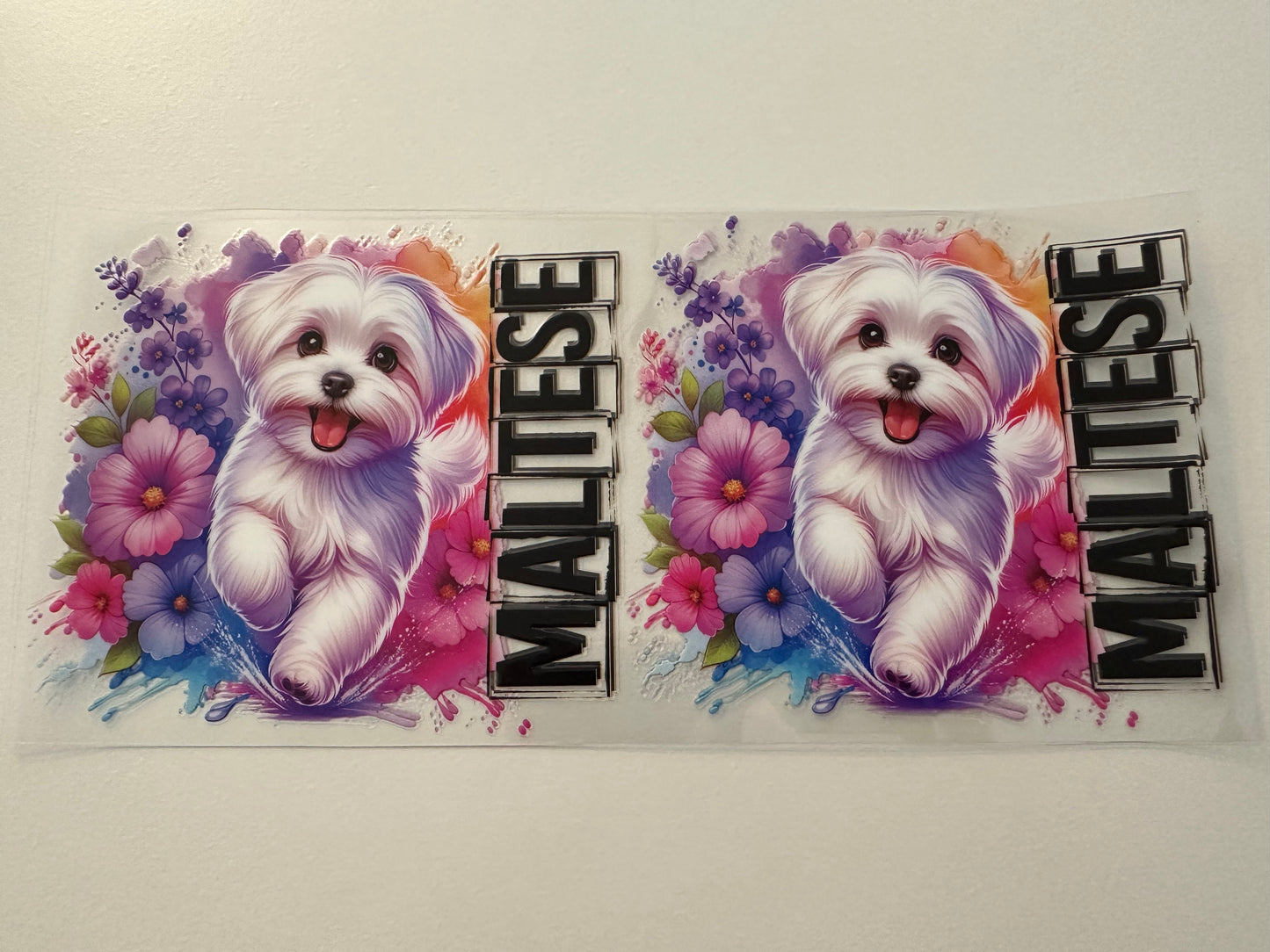 Maltese