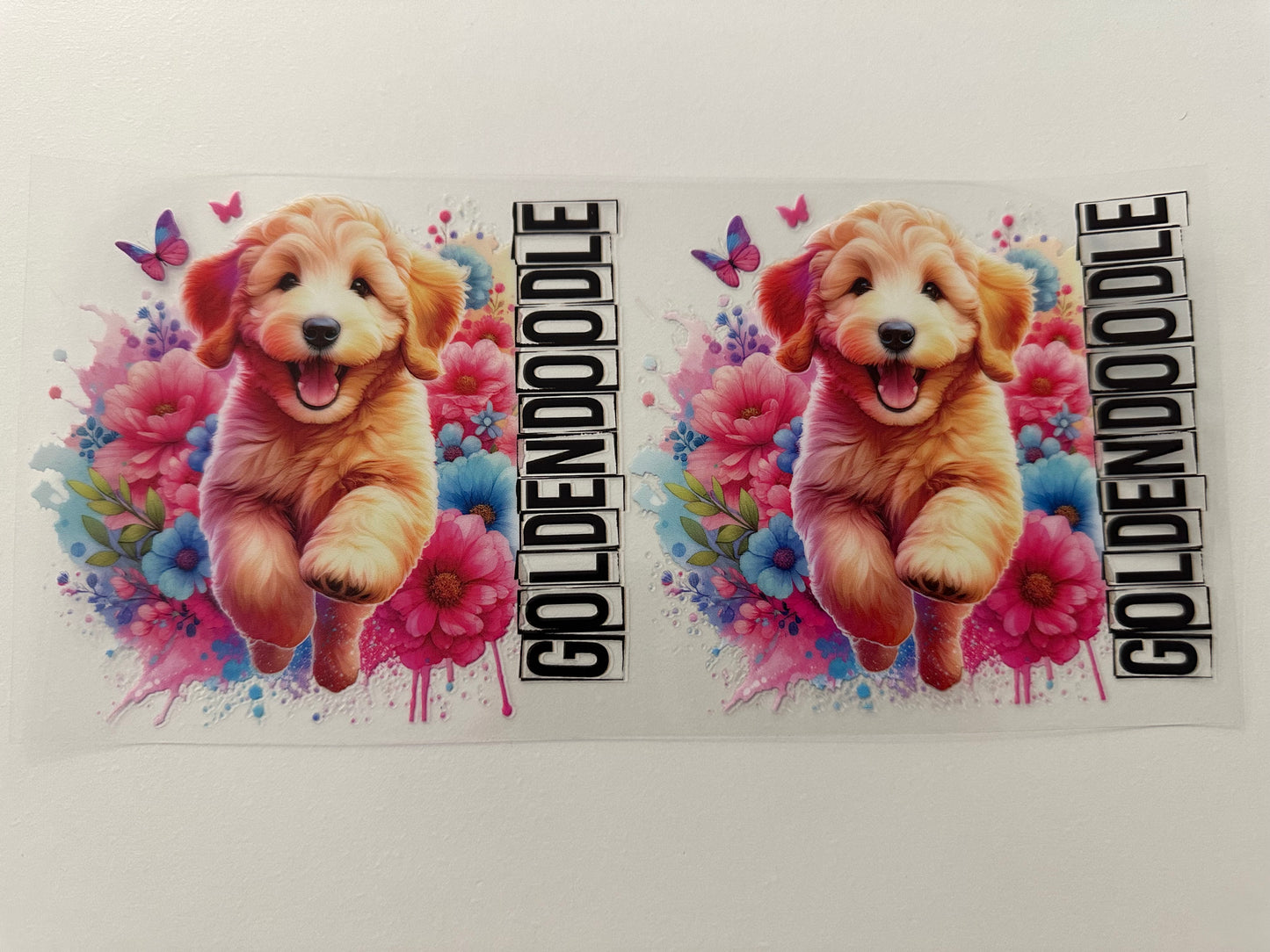 Golden doodle
