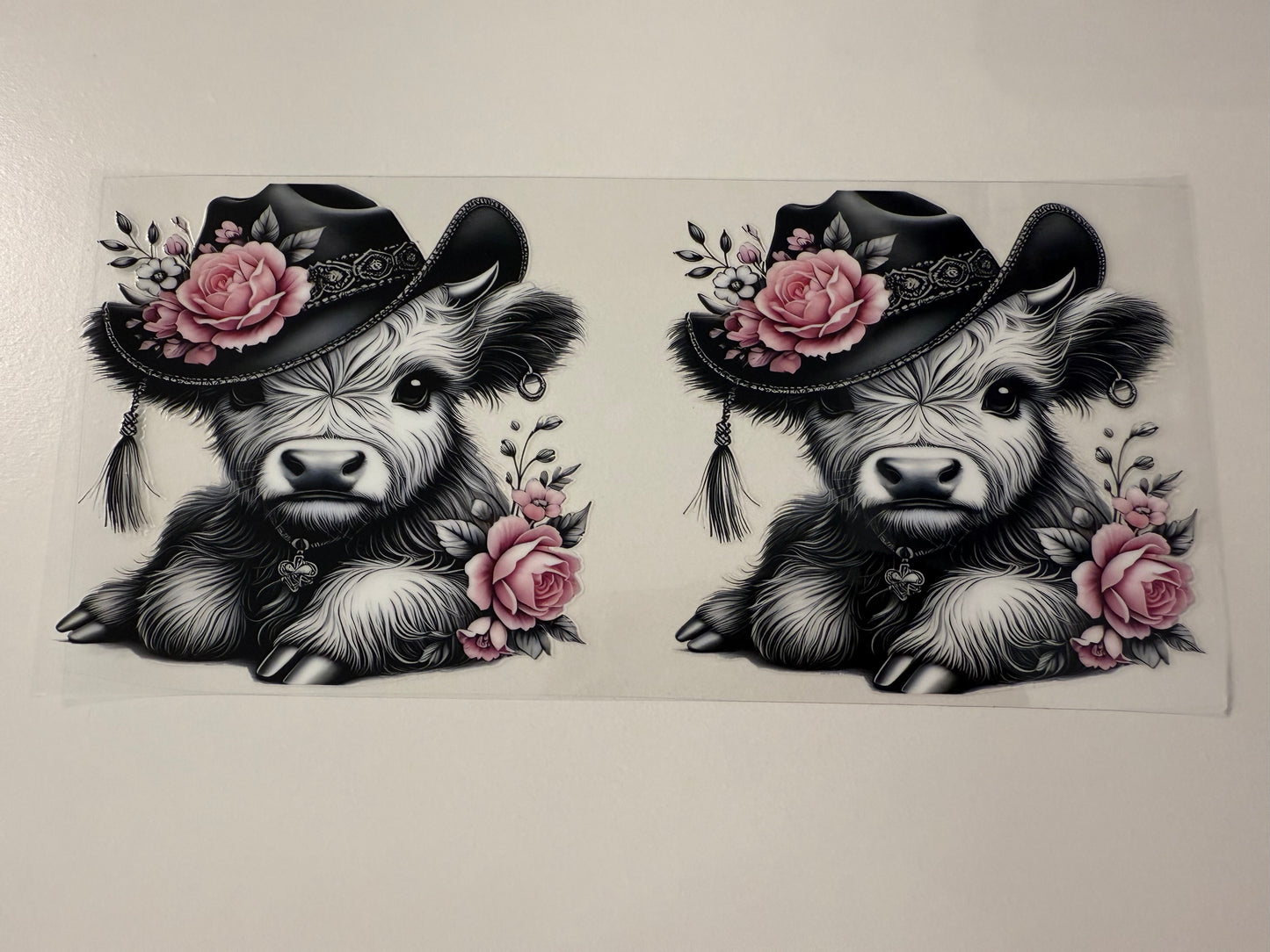 Black and white cow 
