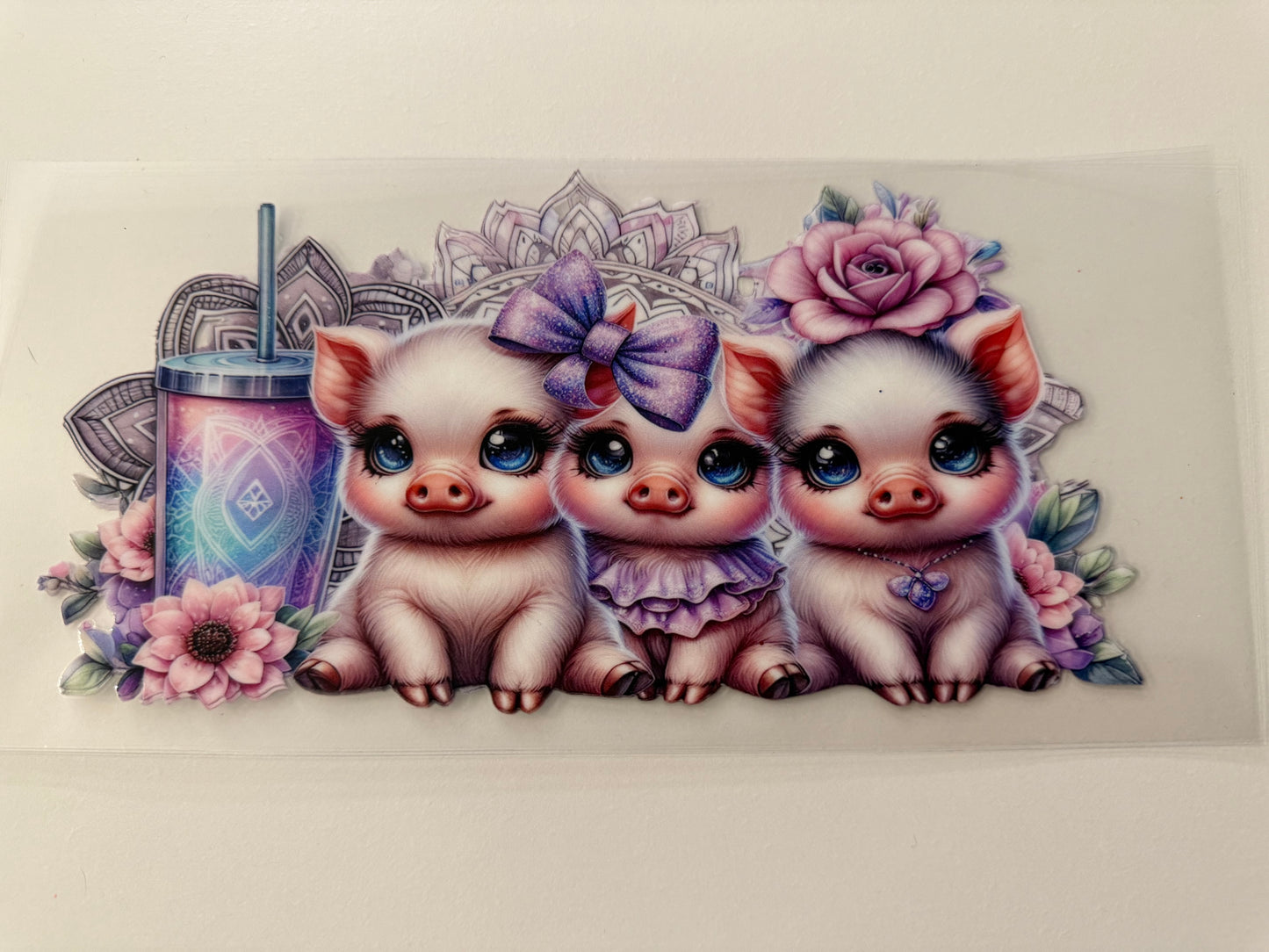 Pigs