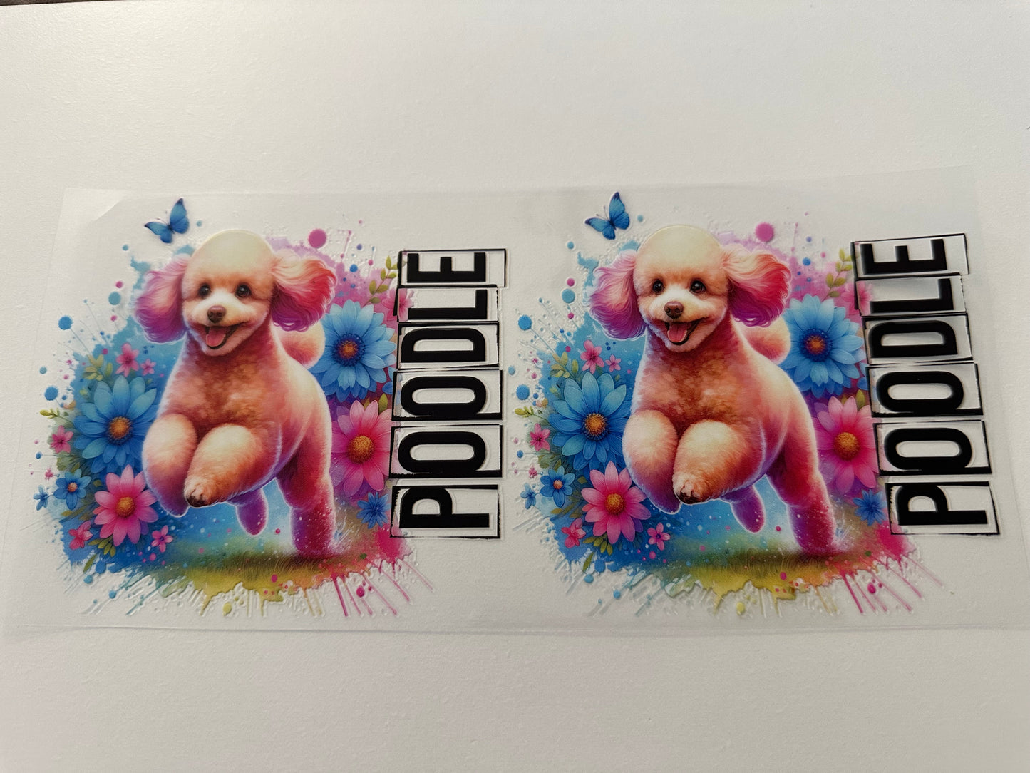 Poodle