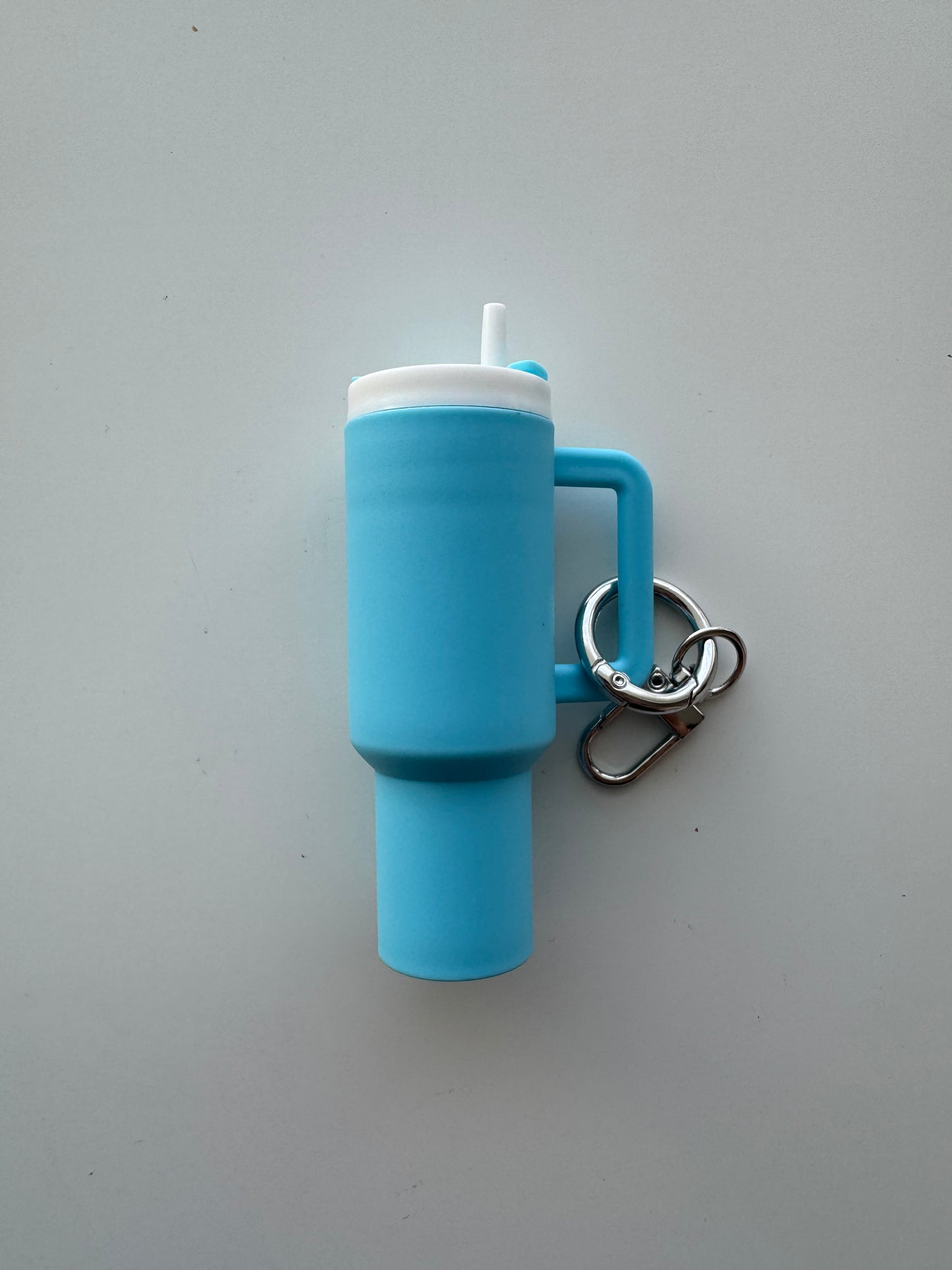 Mini Tumbler Key Chain