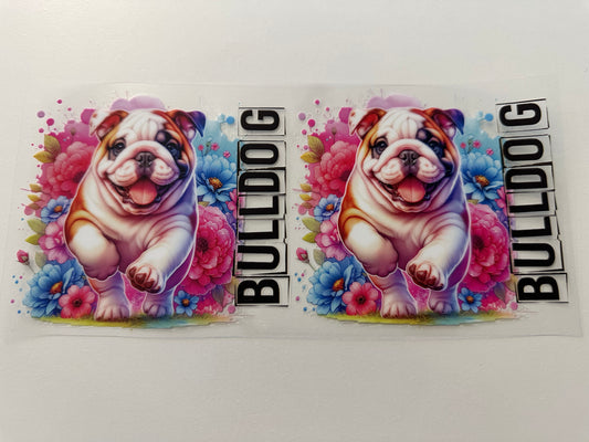 Bulldog