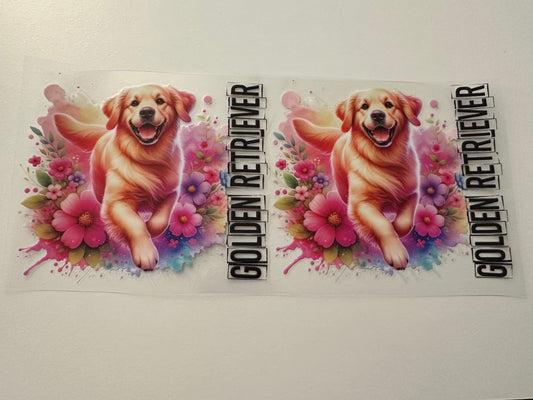 Golden retriever