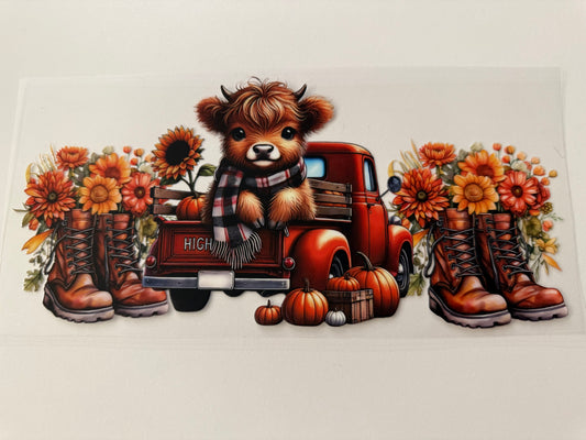 Fall highland cow