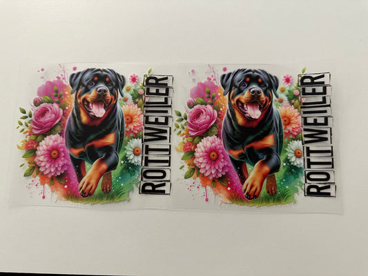 Rottweiler