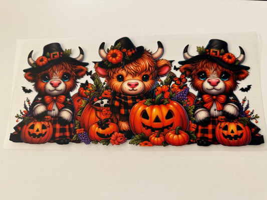 Fall highland cow