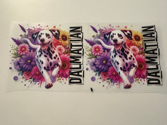 Dalmatian