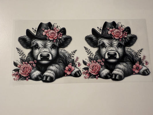 Black and white cow ￼